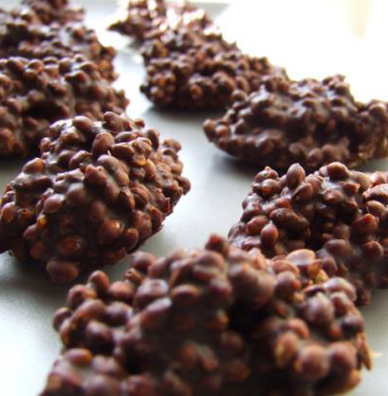 Roses des sables healthy - Les Plaisirs Sains